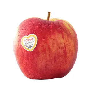 Táo Đỏ New Zealand - Ambrosia - New Zealand Red Apple - Size 60 - LUV'YA